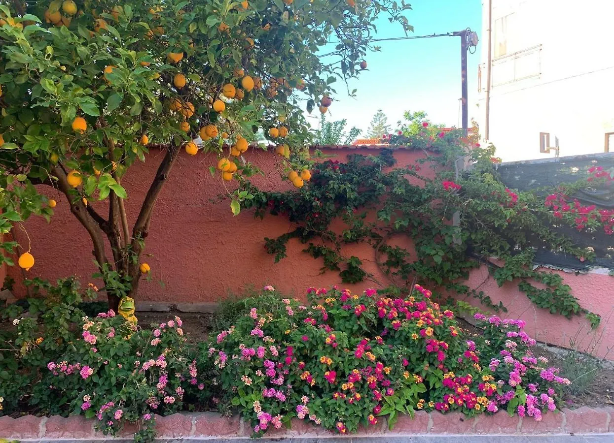 Villa I Limoni del Sud Sardegna Assemini Italia